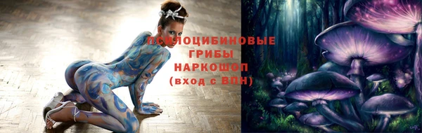 прущие грибы Балабаново
