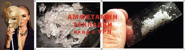 прущие грибы Балабаново