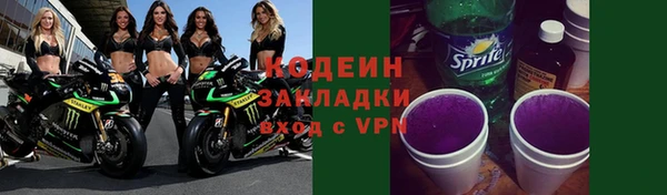 прущие грибы Балабаново