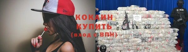 прущие грибы Балабаново