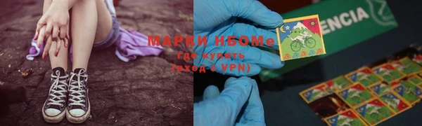 прущие грибы Балабаново
