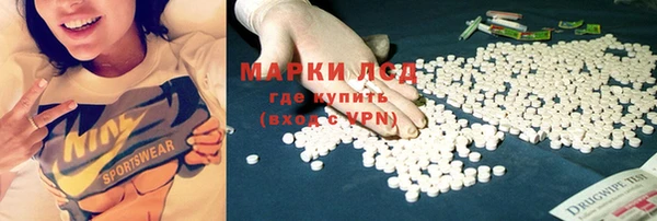 прущие грибы Балабаново
