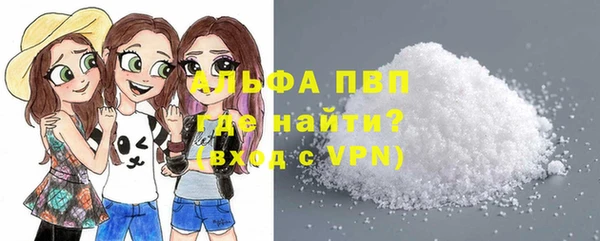 хмурый Дмитров