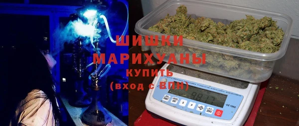 PSILOCYBIN Баксан