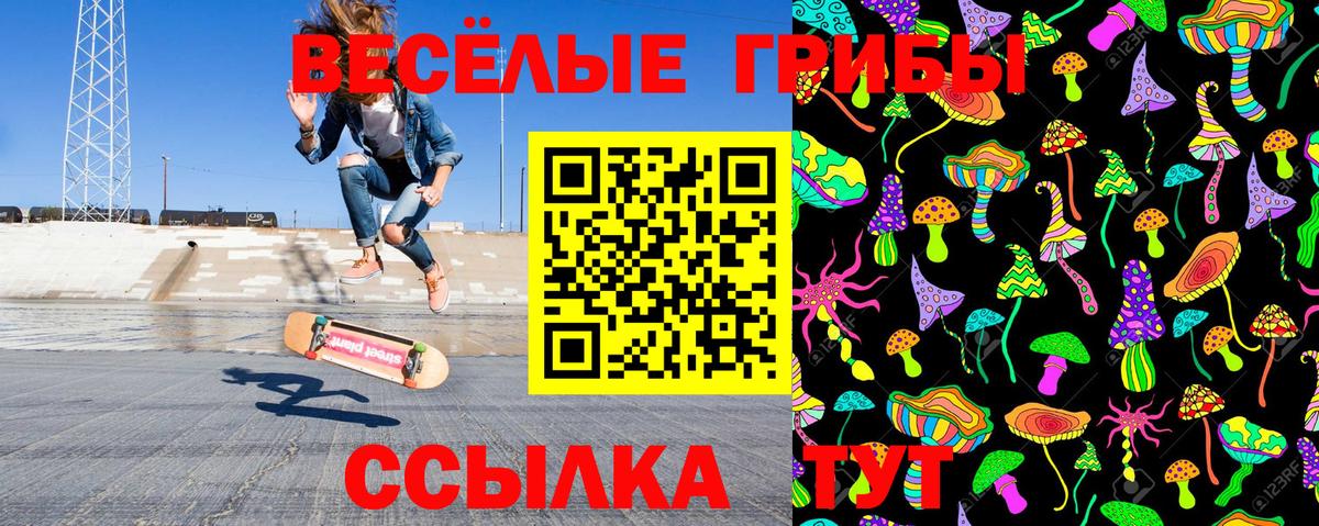 Псилоцибиновые грибы прущие грибы Гай
