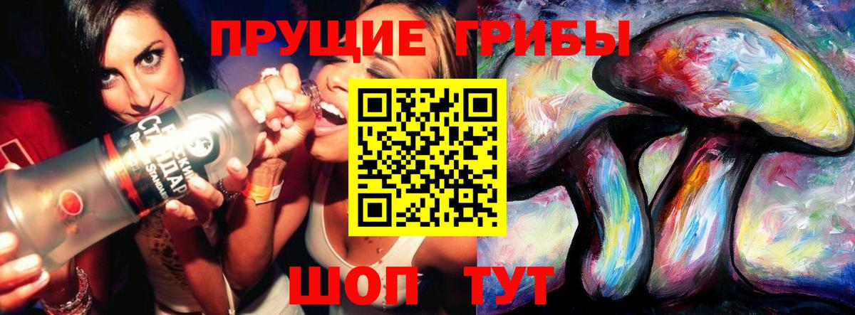 Псилоцибиновые грибы MAGIC MUSHROOMS  Псилоцибиновые грибы прущие грибы  продажа наркотиков  Вход с VPN  Гай 