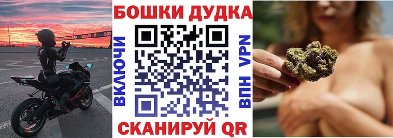 OMG ONION Гай Шишки марихуана Amnesia где продают наркотики