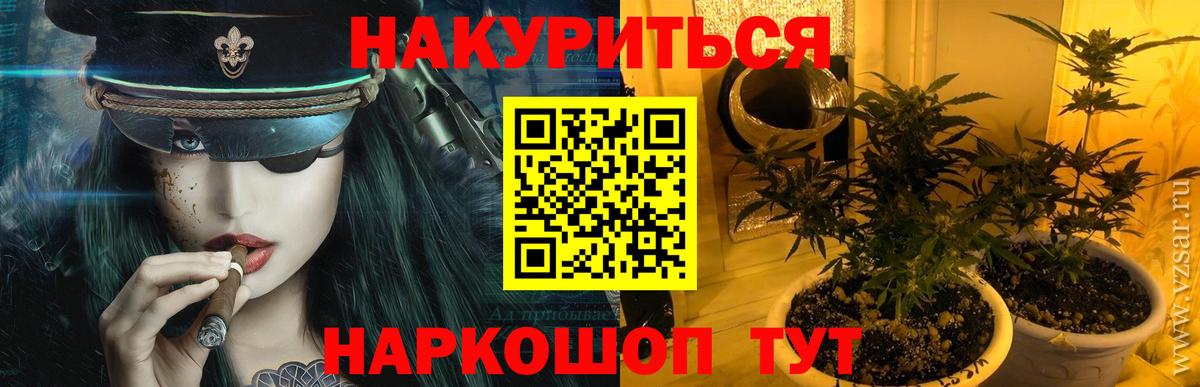 Каннабис гибрид Гай